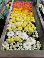 津島神社の手水舎