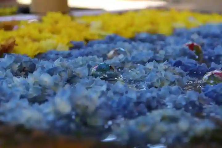 土津神社|こどもと出世の神さまの手水舎