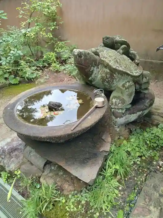 浄瑠璃寺(愛媛県)