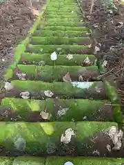 神明神社の建物その他