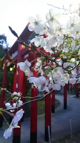 宮地嶽神社(福岡県)