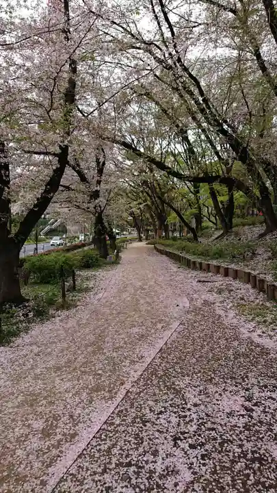 増上寺塔頭 三縁山 宝珠院の周辺