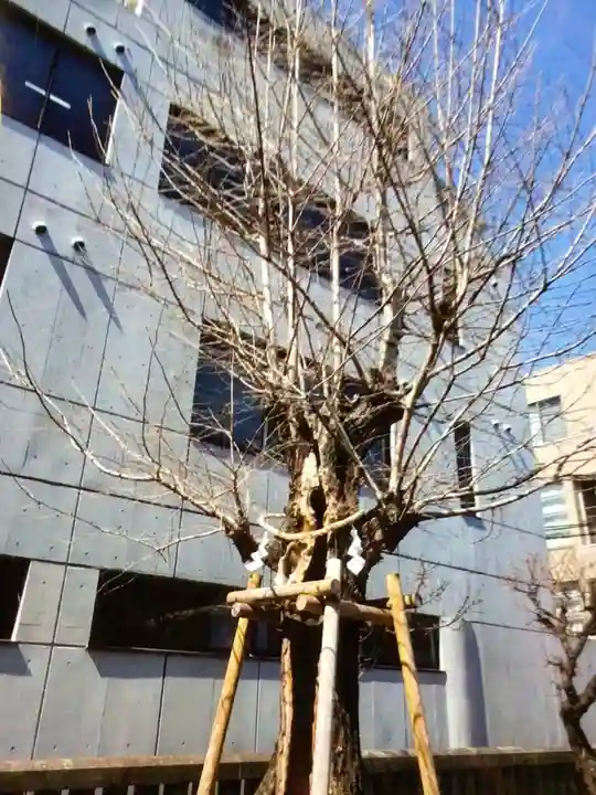 青葉台北野神社(東京都)