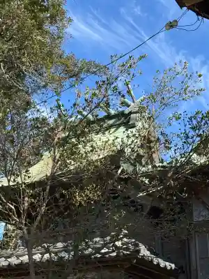 小笠神社の{uncategorized: "未分類", other: "その他", undefined: "問題あり", building: "その他建物", grave: "お墓", sacred_gate: "鳥居", guardian: "狛犬", statue: "像", buddha: "仏像", history: "歴史", nature: "自然", garden: "庭園", animal: "動物", pagoda: "塔", temizu: "手水舎", mountain_gate: "山門・神門", sanctuary: "本殿・本堂", subordinate: "末社・摂社", art: "芸術", scenery: "景色", jizo: "地蔵", ema: "絵馬", goshuin: "御朱印", omikuji: "おみくじ", items: "授与品その他", amulet: "お守り", goshuincho: "御朱印帳", eats: "食事", festival: "お祭り", votive_dance: "神楽", shichigosan: "七五三参", wedding: "結婚式", experience: "体験その他", initially: "初詣", around: "周辺", anti_infection: "感染症対策"}