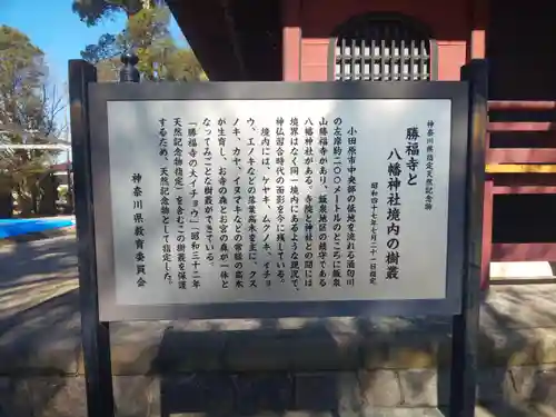 勝福寺の歴史