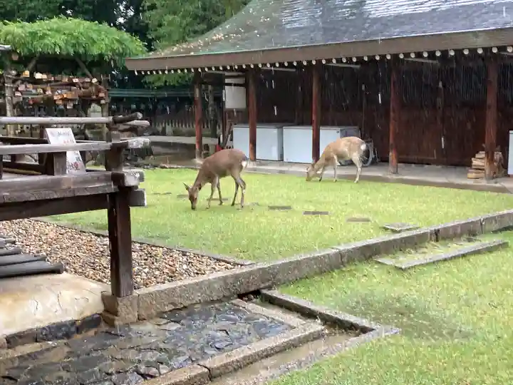 氷室神社(奈良県)