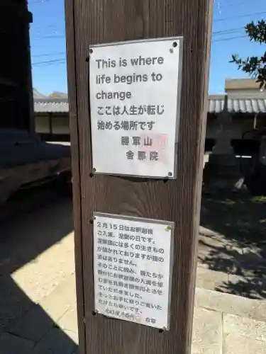 舎那院の{uncategorized: "未分類", other: "その他", undefined: "問題あり", building: "その他建物", grave: "お墓", sacred_gate: "鳥居", guardian: "狛犬", statue: "像", buddha: "仏像", history: "歴史", nature: "自然", garden: "庭園", animal: "動物", pagoda: "塔", temizu: "手水舎", mountain_gate: "山門・神門", sanctuary: "本殿・本堂", subordinate: "末社・摂社", art: "芸術", scenery: "景色", jizo: "地蔵", ema: "絵馬", goshuin: "御朱印", omikuji: "おみくじ", items: "授与品その他", amulet: "お守り", goshuincho: "御朱印帳", eats: "食事", festival: "お祭り", votive_dance: "神楽", shichigosan: "七五三参", wedding: "結婚式", experience: "体験その他", initially: "初詣", around: "周辺", anti_infection: "感染症対策"}