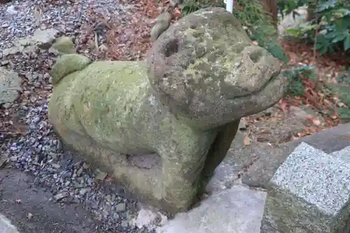 阿久津「田村神社」（郡山市阿久津町）旧社名：伊豆箱根三嶋三社の狛犬