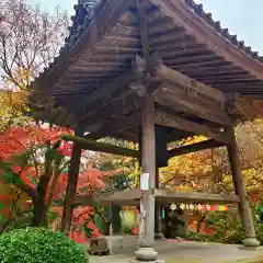 大洞院の建物その他