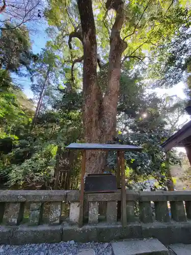 久能山東照宮(静岡県)