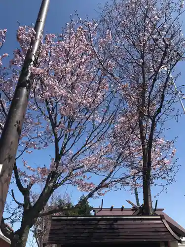 新川皇大神社(北海道)