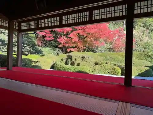 大池寺(滋賀県)