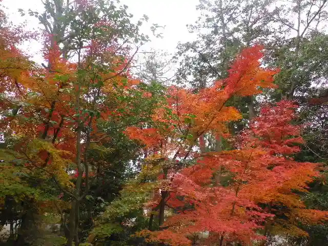 鶴岡八幡宮の自然