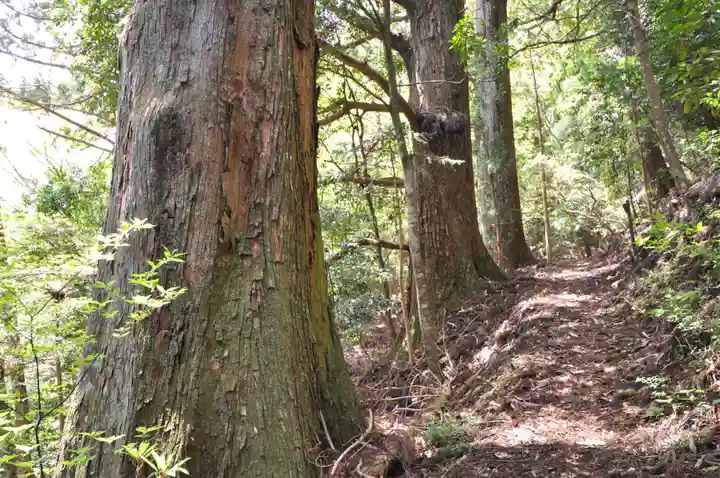 焼山寺(徳島県)