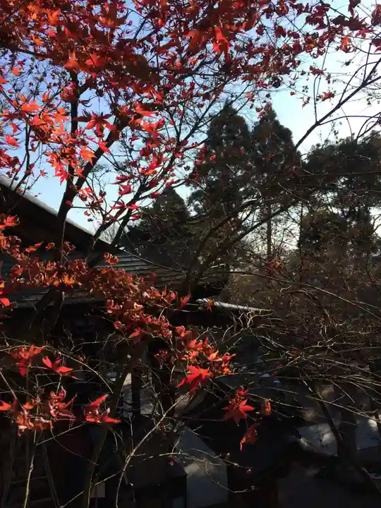如意輪寺(福岡県)