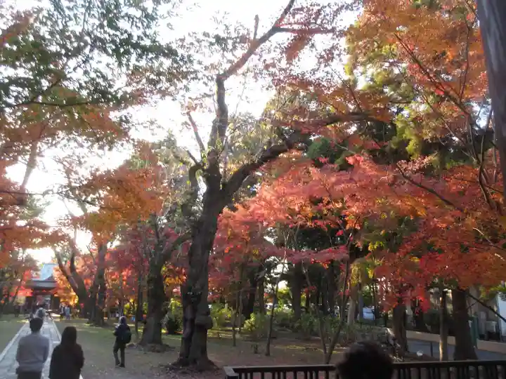 東漸寺(千葉県)