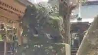 府馬愛宕神社の狛犬