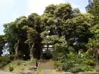 忌波神社の自然