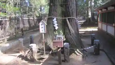 一言主神社(茨城県)
