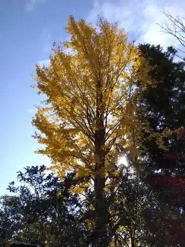 木田神社(福井県)