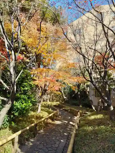 宝勝山　南藏院   蓮光寺の庭園