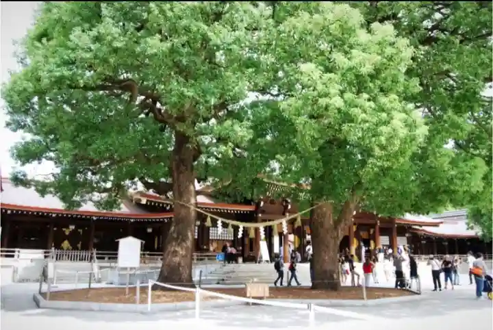 明治神宮の自然