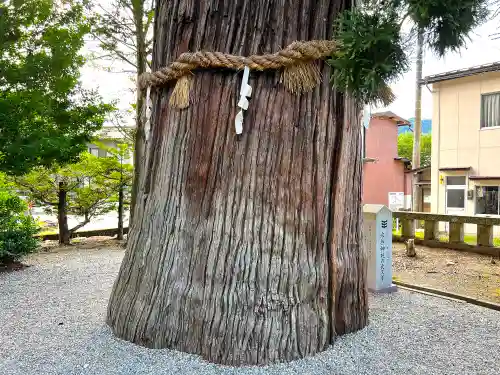 飛驒一宮水無神社(岐阜県)
