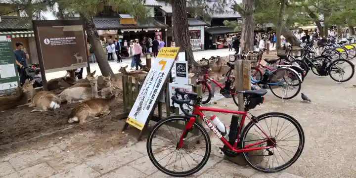 東大寺(奈良県)