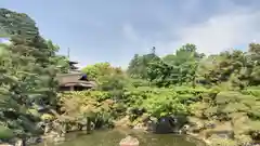 仁和寺の庭園