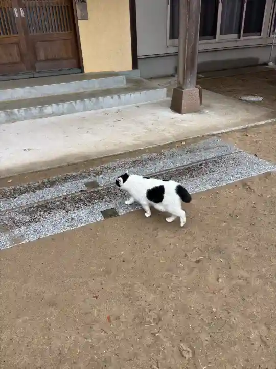 鎌数伊勢大神宮の{uncategorized: "未分類", other: "その他", undefined: "問題あり", building: "その他建物", grave: "お墓", sacred_gate: "鳥居", guardian: "狛犬", statue: "像", buddha: "仏像", history: "歴史", nature: "自然", garden: "庭園", animal: "動物", pagoda: "塔", temizu: "手水舎", mountain_gate: "山門・神門", sanctuary: "本殿・本堂", subordinate: "末社・摂社", art: "芸術", scenery: "景色", jizo: "地蔵", ema: "絵馬", goshuin: "御朱印", omikuji: "おみくじ", items: "授与品その他", amulet: "お守り", goshuincho: "御朱印帳", eats: "食事", festival: "お祭り", votive_dance: "神楽", shichigosan: "七五三参", wedding: "結婚式", experience: "体験その他", initially: "初詣", around: "周辺", anti_infection: "感染症対策"}