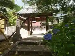 祥雲寺の山門