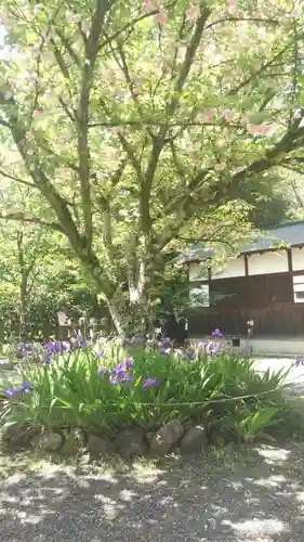 平野神社の庭園