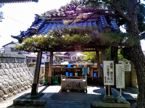 専光寺の手水舎