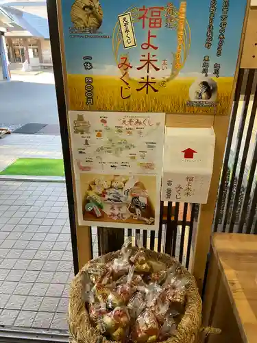 旭川神社のおみくじ