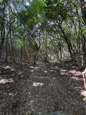 龍宮神社(高知県)