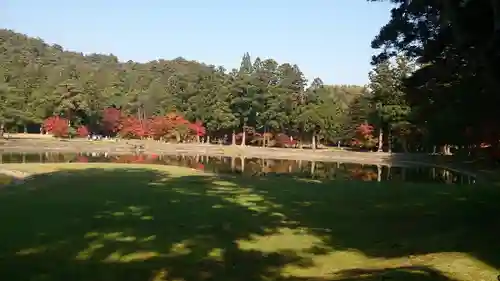 毛越寺の庭園