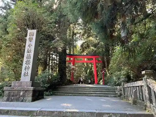 箱根神社の鳥居