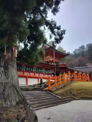 春日大社(奈良県)