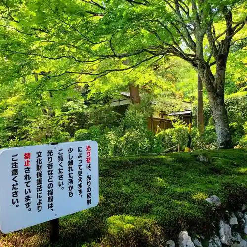 宝積山光前寺の庭園