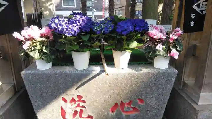 高円寺氷川神社の手水舎