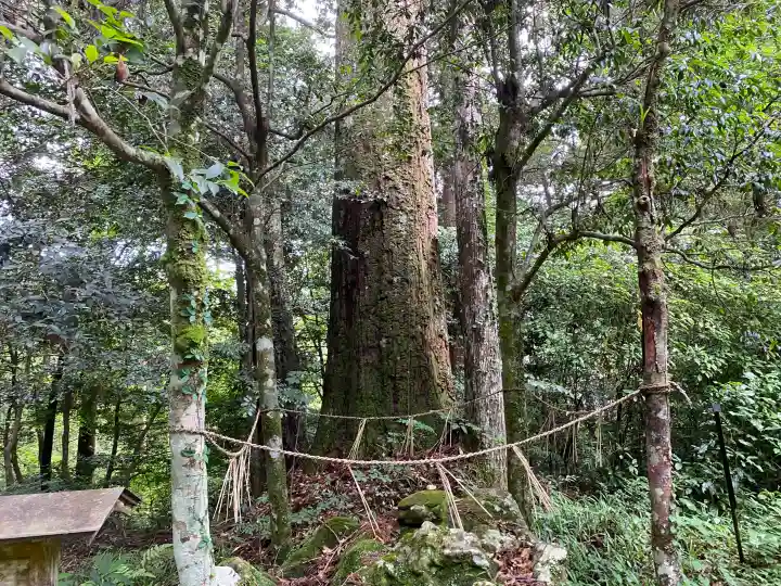 若一王子宮(高知県)
