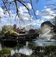 井の頭弁財天(大盛寺)(東京都)