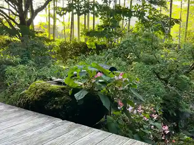 宝泉院(京都府)