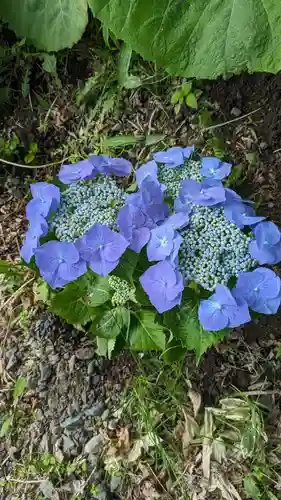 釧路一之宮 厳島神社の自然