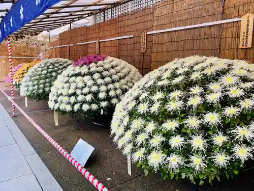 湯島天満宮の庭園