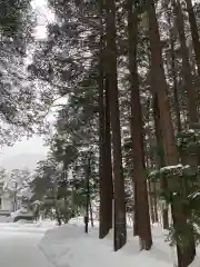 北海道神宮(北海道)