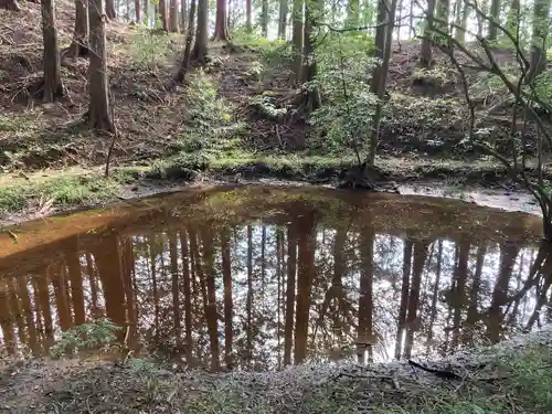 天宮神社の自然