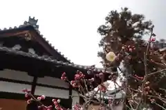 菅原天満宮（菅原神社）の自然