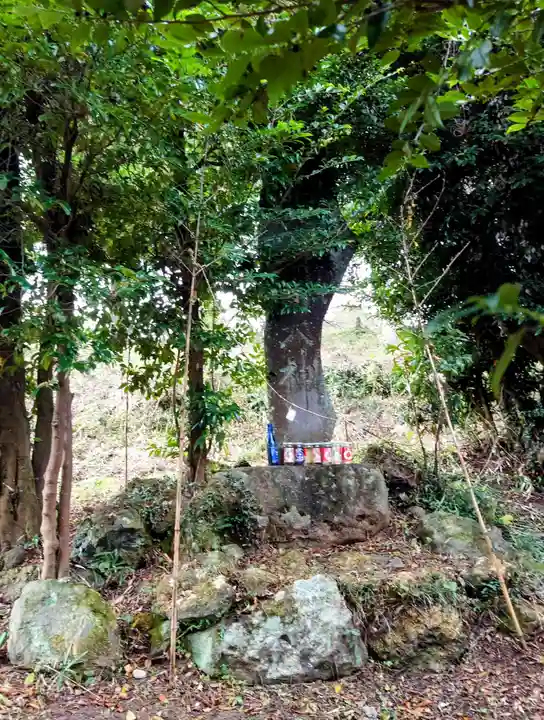 白山神社(群馬県)