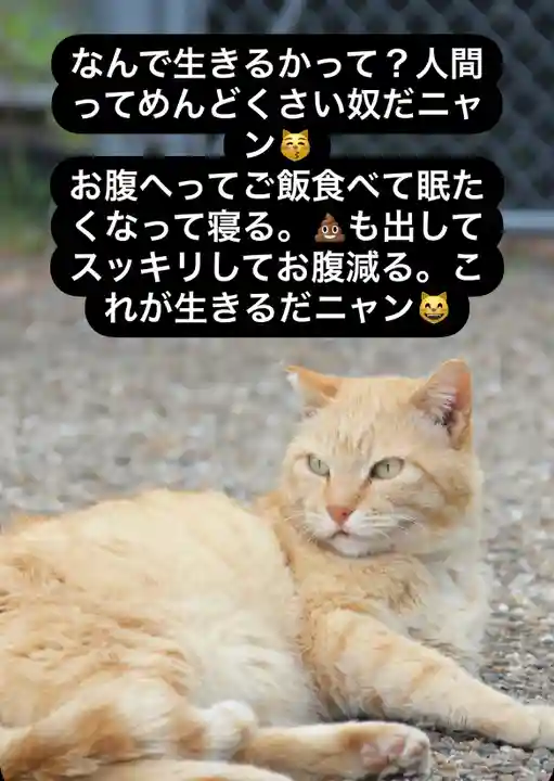 専念寺(大阪府)